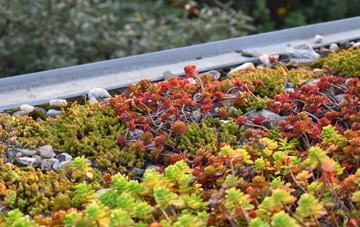 the cost of Ceres green roof installation